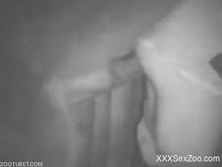 Close-ups of fantastic animal fucking in the dark