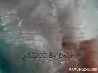 Zoophile man seizes the moment and touches dolphin in water