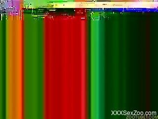 Insane scenes of amateur brutal zoo XXX porn