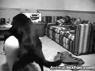 B&W security cam video showing hardcore bestiality