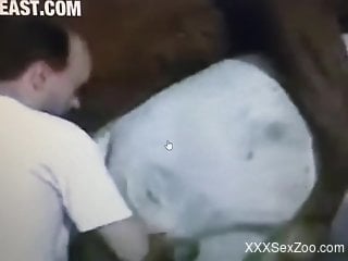 Dude helps his horses fuck in an efficient manner