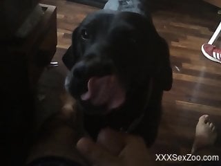 Dude with a hard cock lets this beast lick his cock