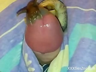 POV video with a hard cock and a very sexy snail