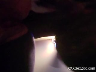 Doggy style fuck scene with a very kinky animal