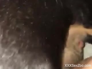 Sexy animal enjoying hardcore screwing with a dog lover