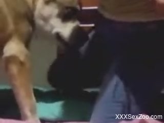 Crass MILF in ripped jeans enjoying hot dog fucking