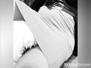 Tight female leaves the furry mutt lick her in a sexy mode