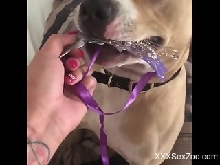 Tanned babe filmed in great angles trying sex with the dog