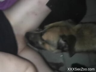 Aroused woman feels dog licking her muff in sexy modes