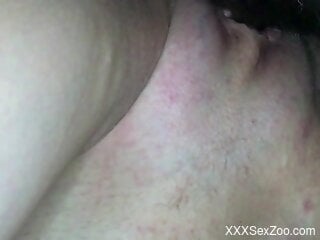 Steamy moments for a hot chick when she gets fucked by a dog