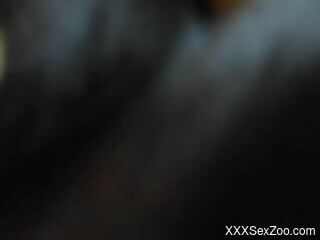 Indian amateur chick filmed when she tries dog dick in the pussy