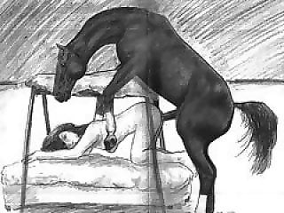 Zoophilia porn and animal sex