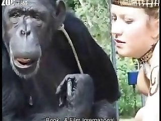 Zoo Zoo Sex Porn