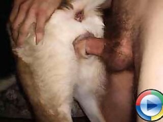 Free bestiality and zoophilia porn