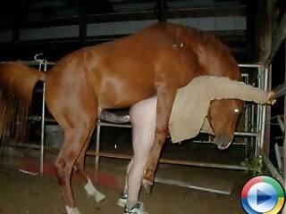 Zoo Zoo Sex Porn