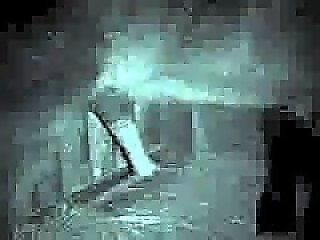 Animal porn videos and ZOO PORN