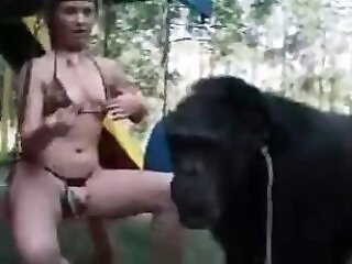 Zoo Porn